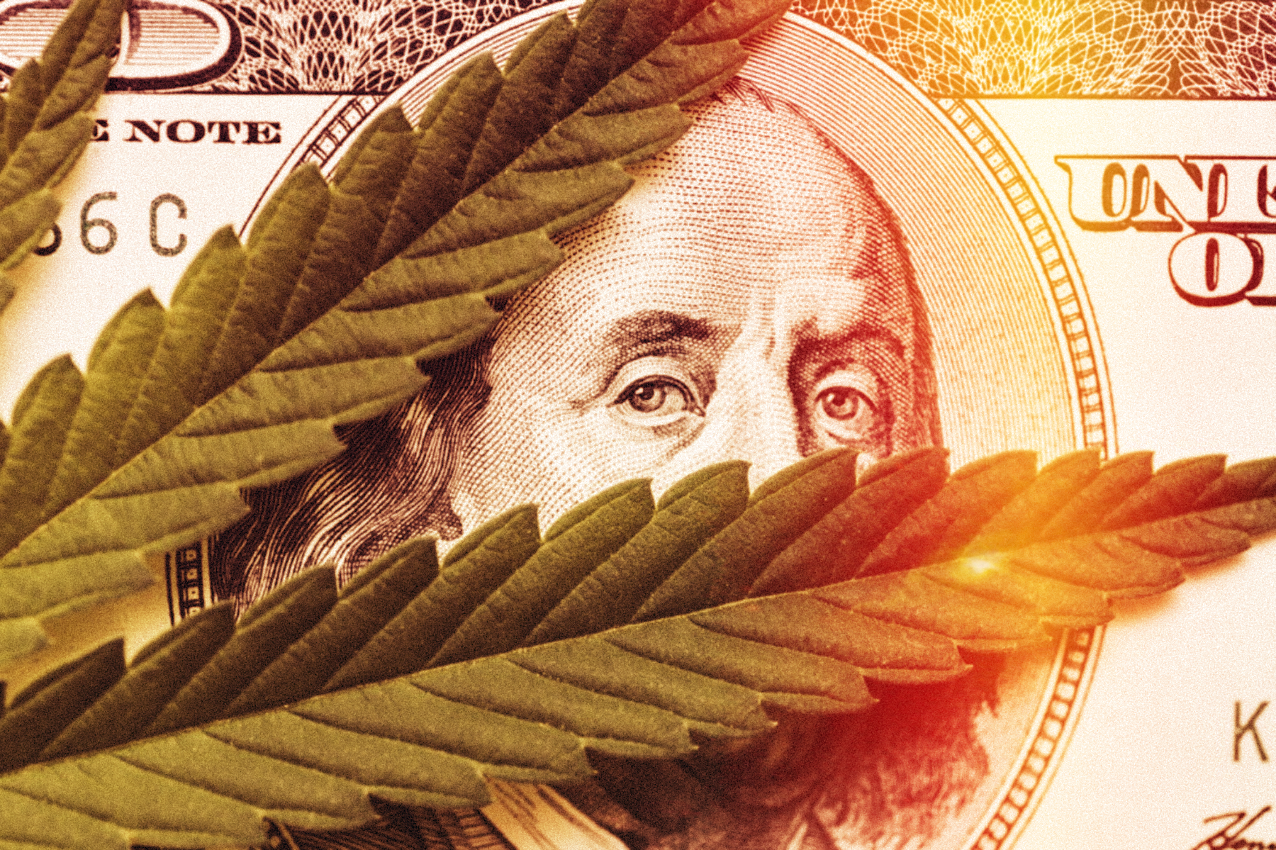 Marijuana Stocks are booming in 2021