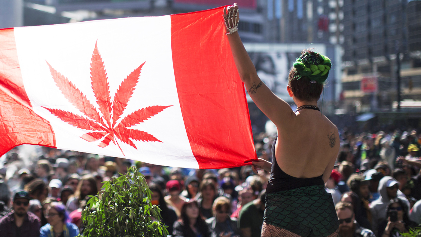 Cannabis CEO’s in Canada are Among Highest Paid in the Country