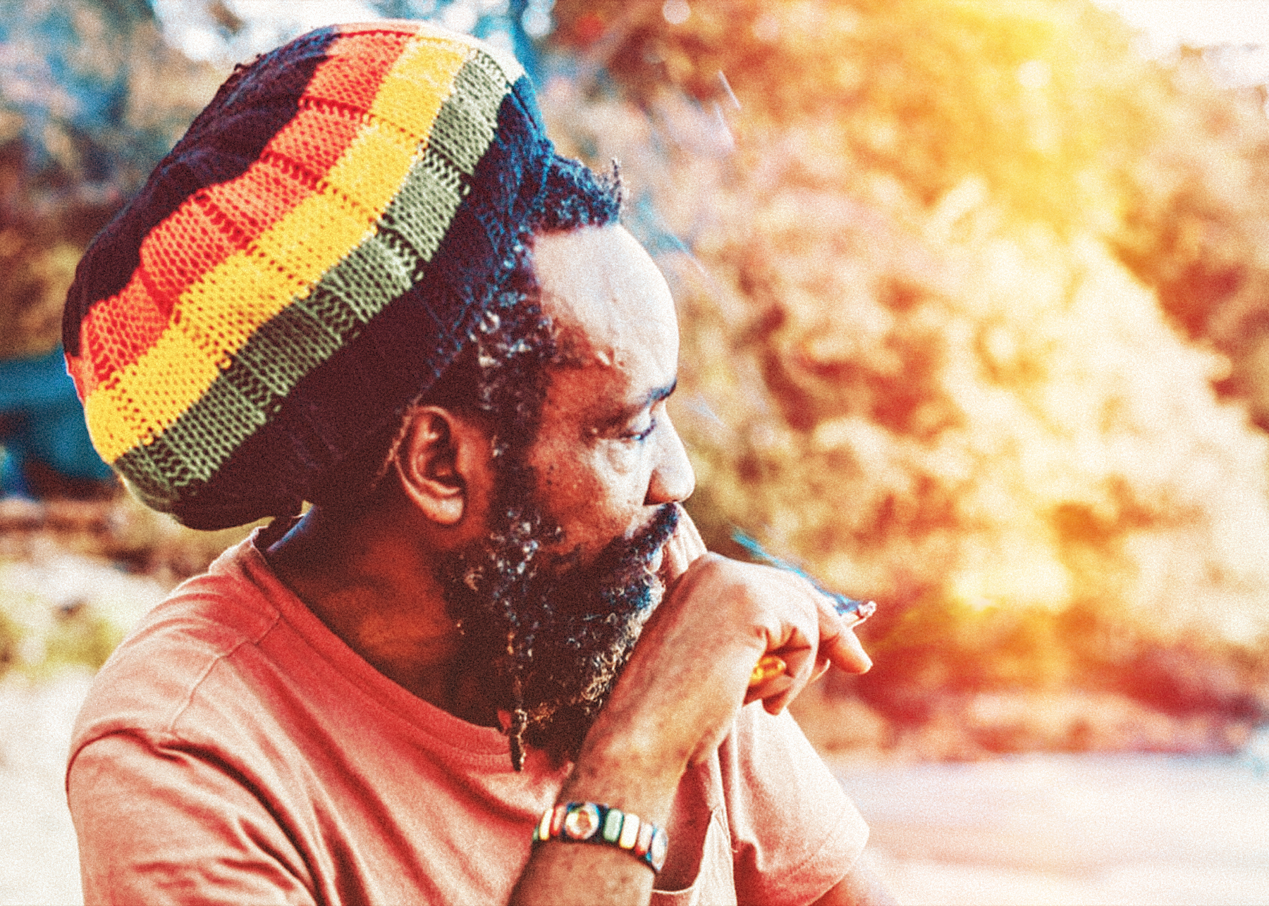 Cannabis not linked to Senior Cognitive Dysfunction, some studies suggest