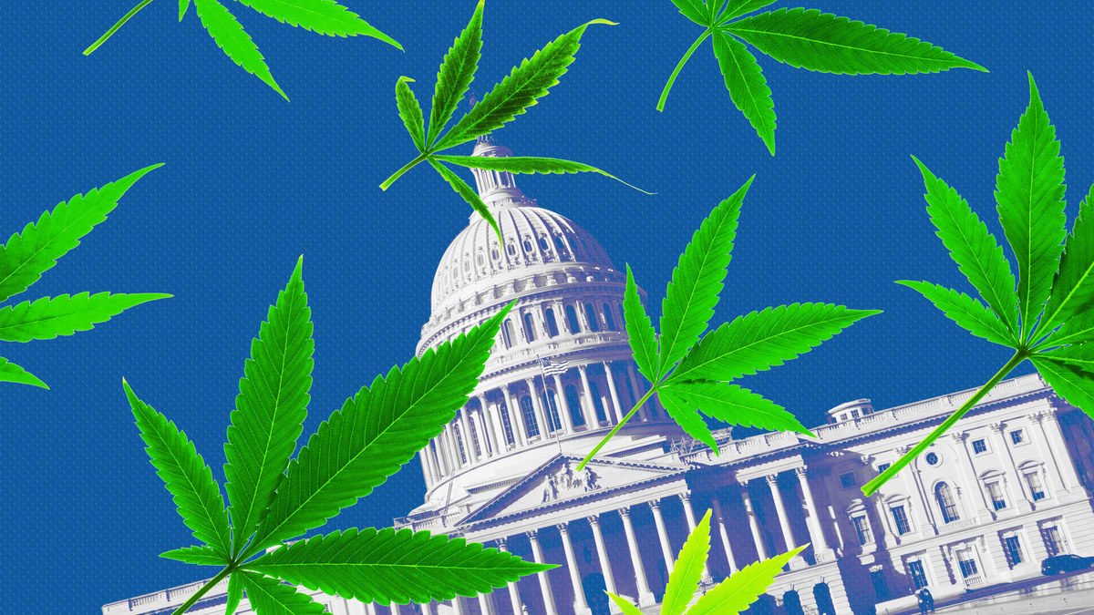 Schumer hints that federal legalization is coming soon