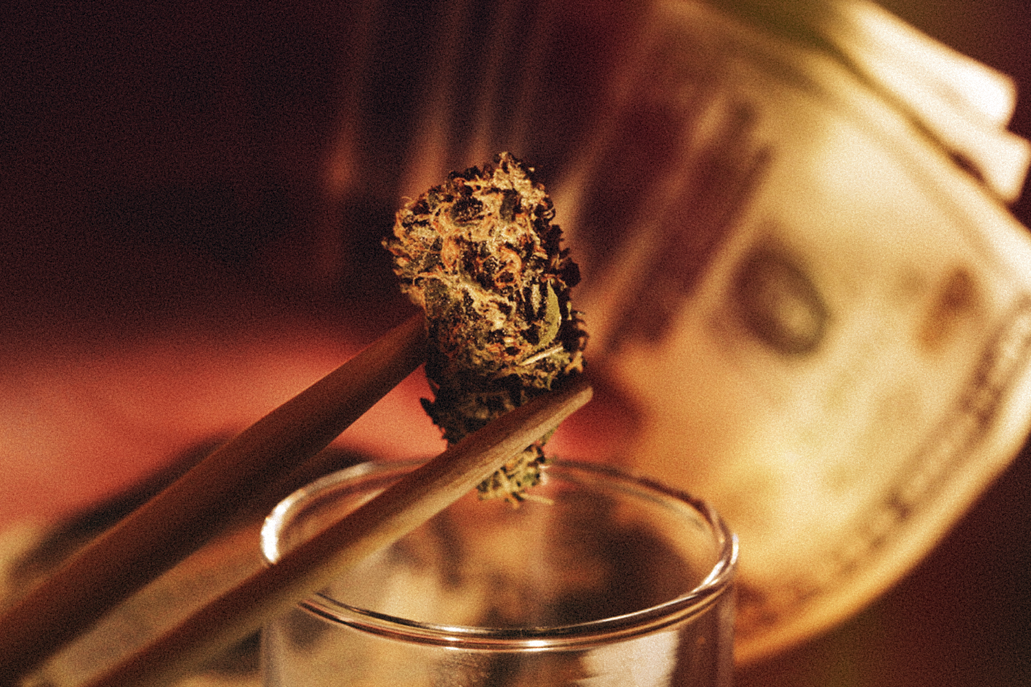 Marijuana is legal… Now what?