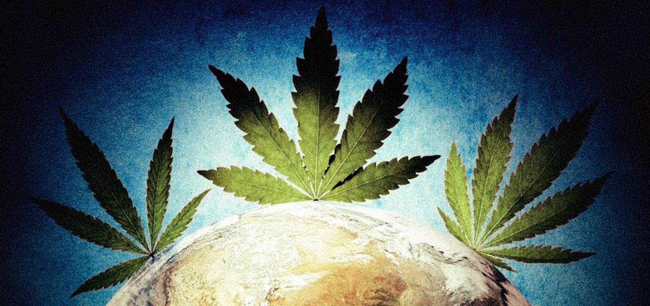 The Global impact of Mexican Cannabis