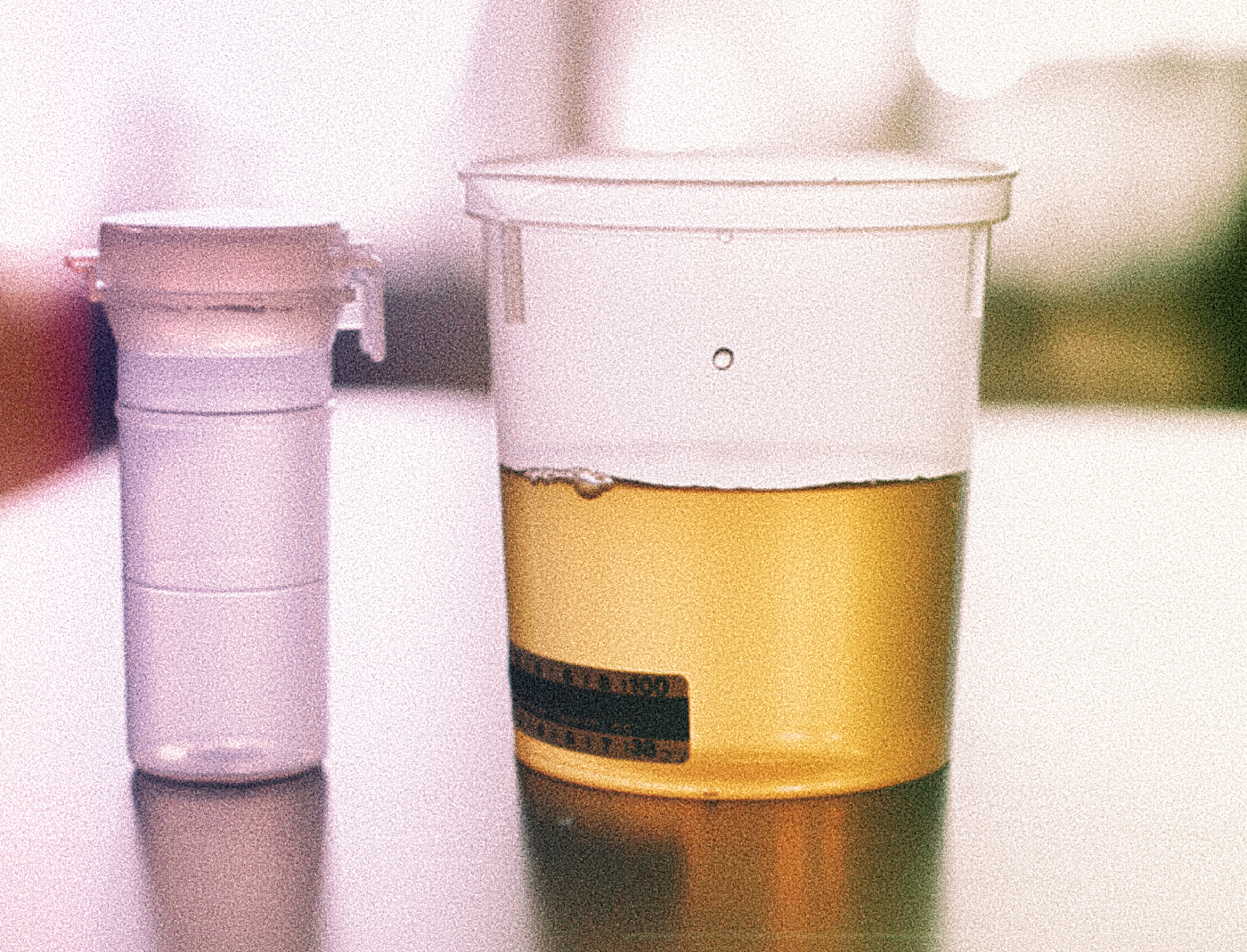 California introduces bill that would ban cannabis discrimination