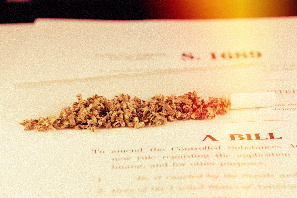 Watch Senators speak on Marijuana