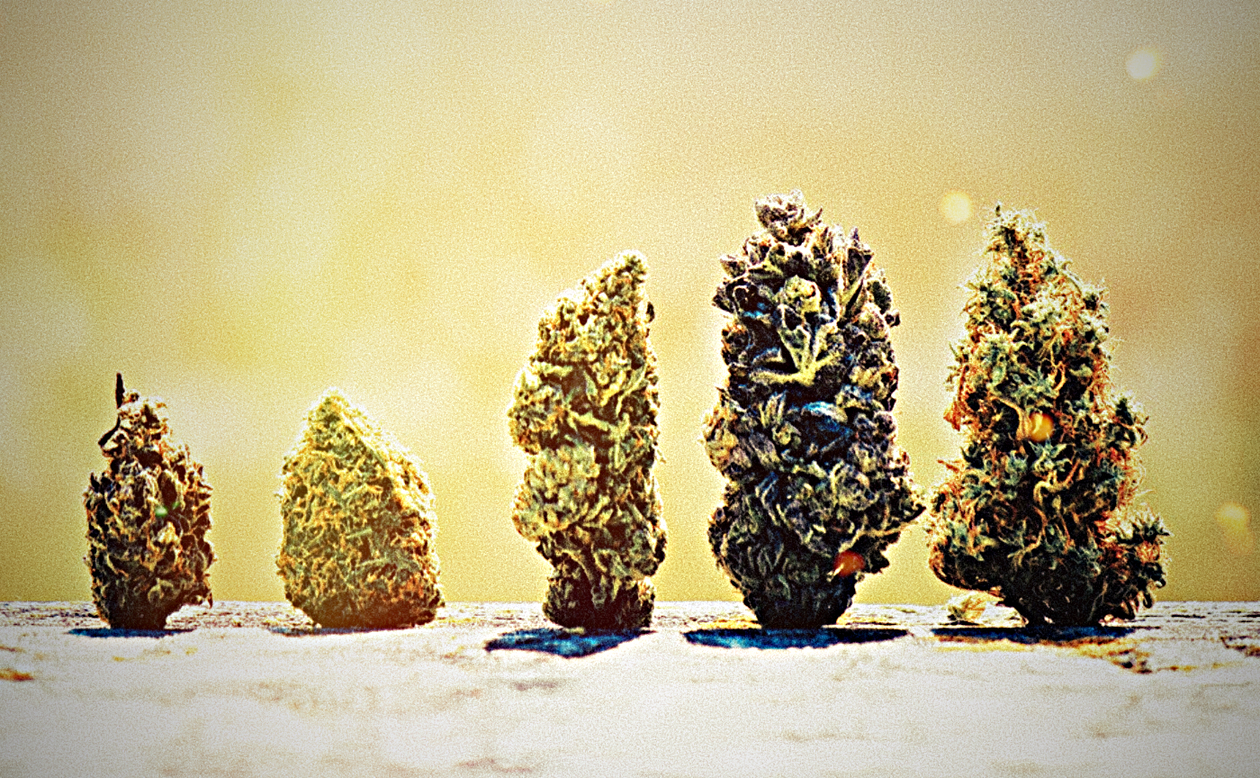 5 Different weed highs and how to attain them