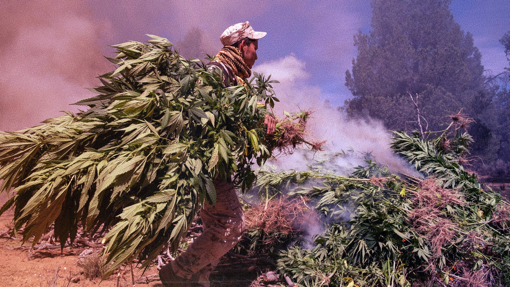Mexico doesn’t meet cutoff for legalizing marijuana