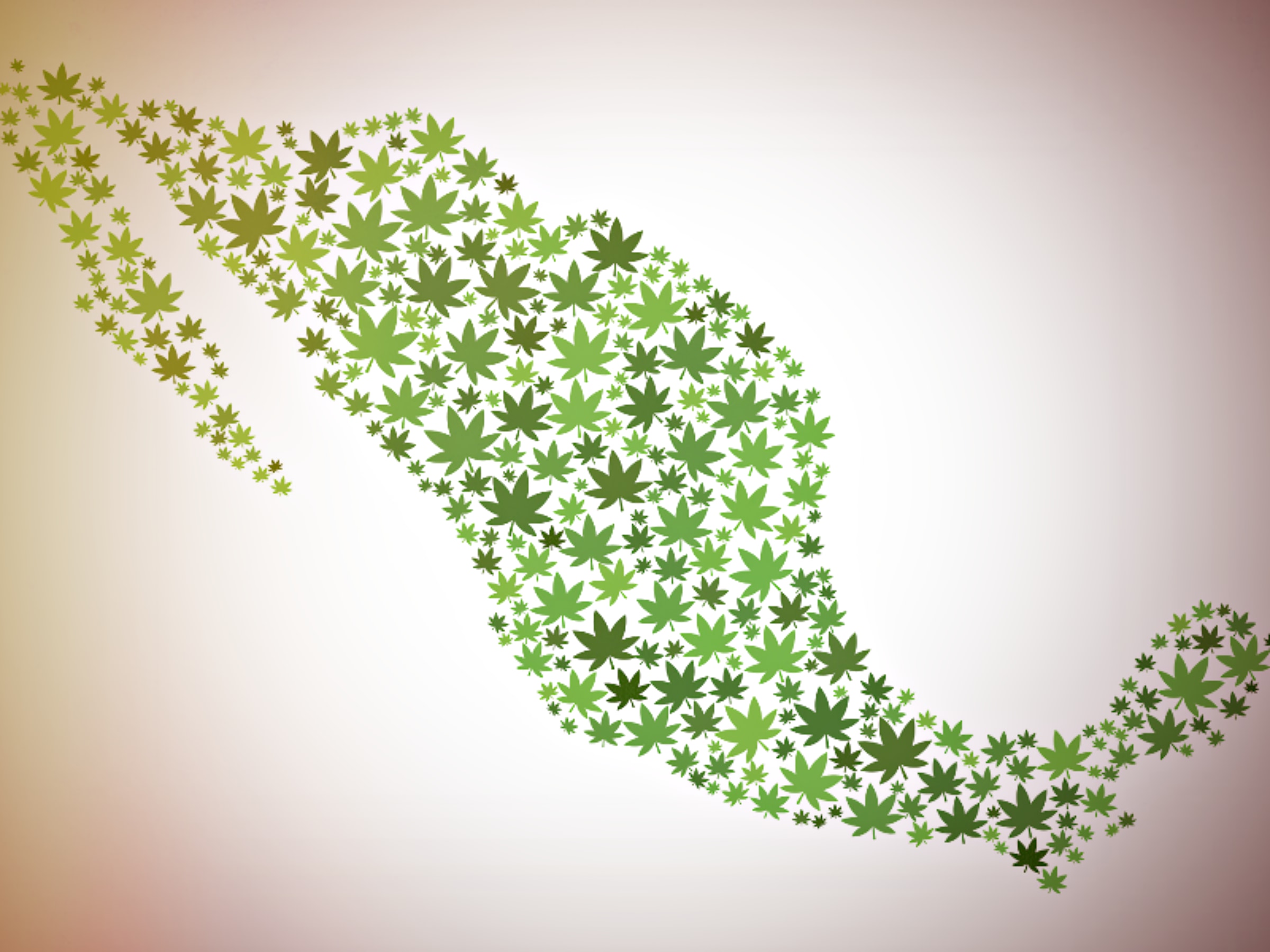 International Cannabis: Mexico