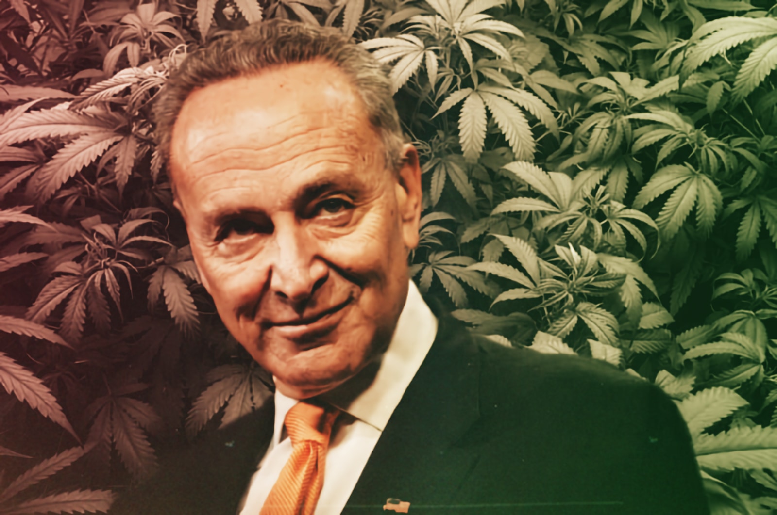 Let’s Talk About this Weed Bill from Schumer