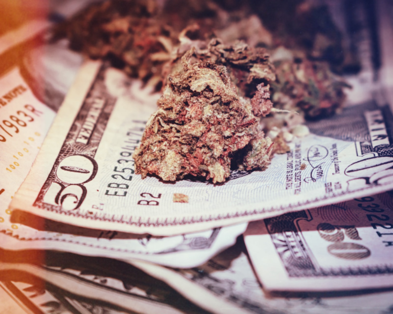 Marijuana Business already too big? CEO’s making millions