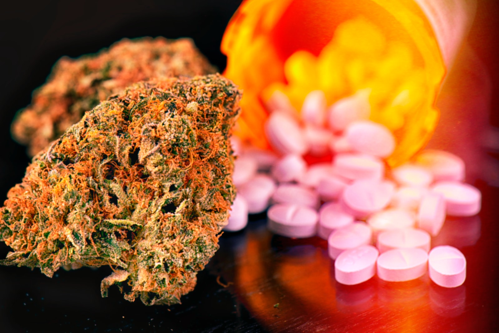 Daily Cannabis use lowers risk of Opioid Abuse