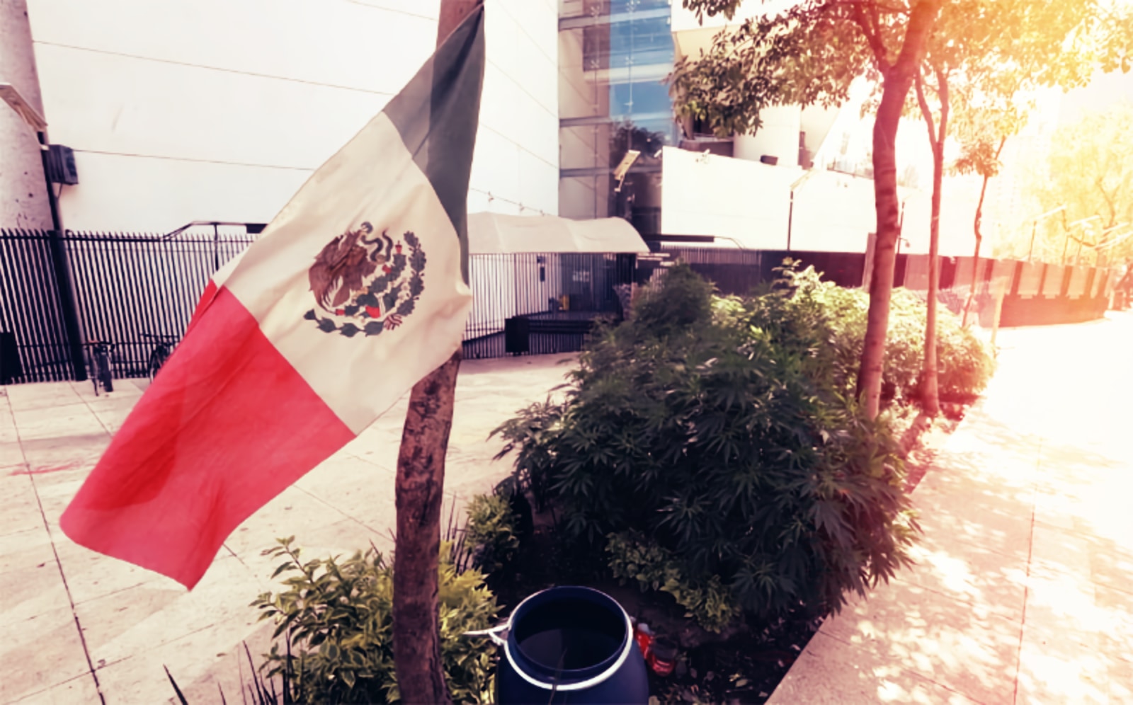 Mexico is giving legal weed yet another shot