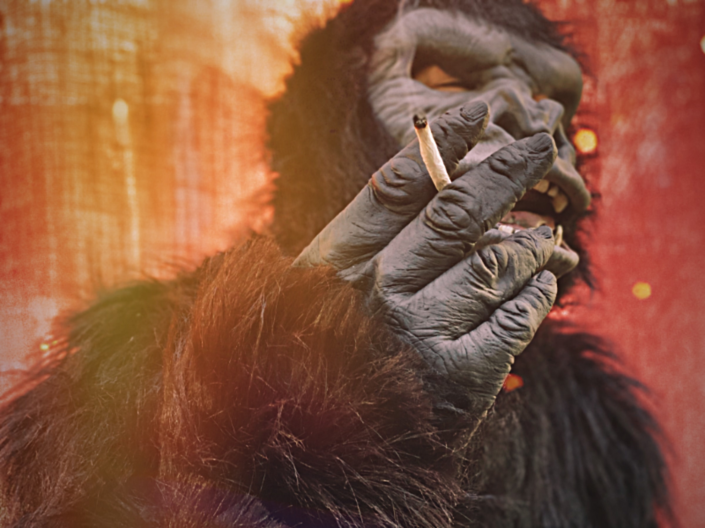 Some Activists dressed as Apes and put up a Monolith for Drug Stance Evolution