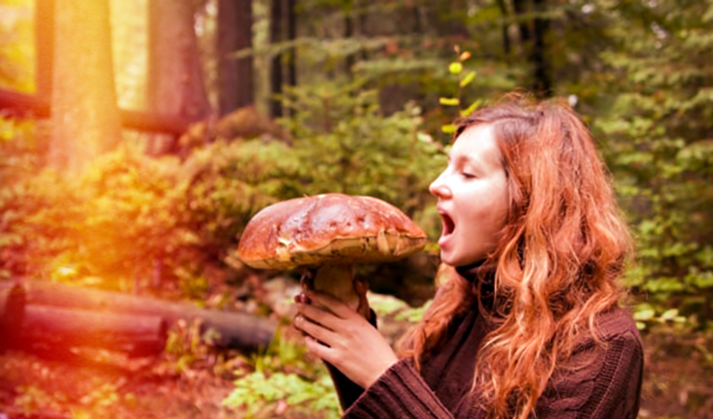 Less risk of Diabetes for those who have tried Psychedelics