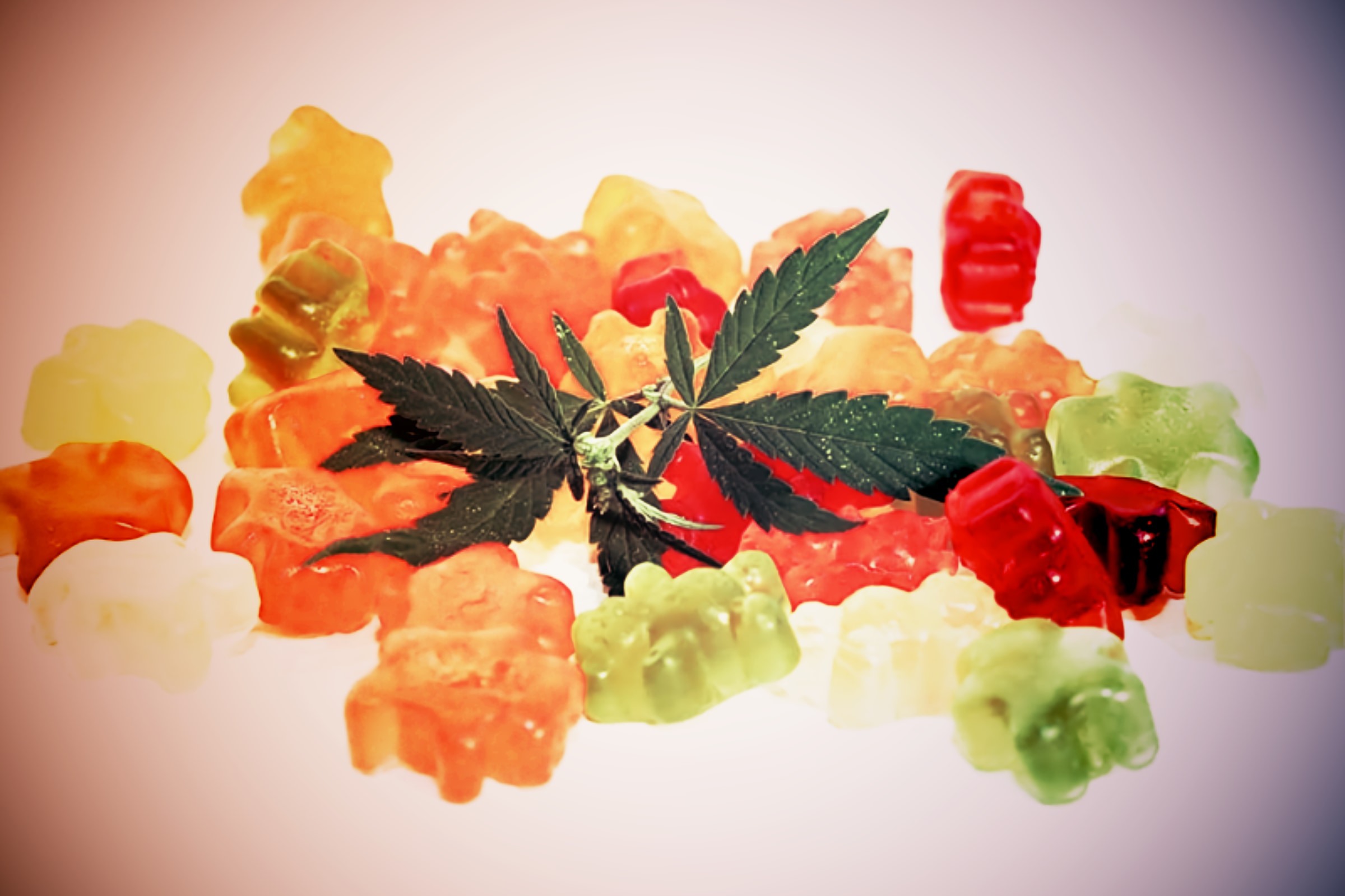 Best CBD Gummies out there for Sleep