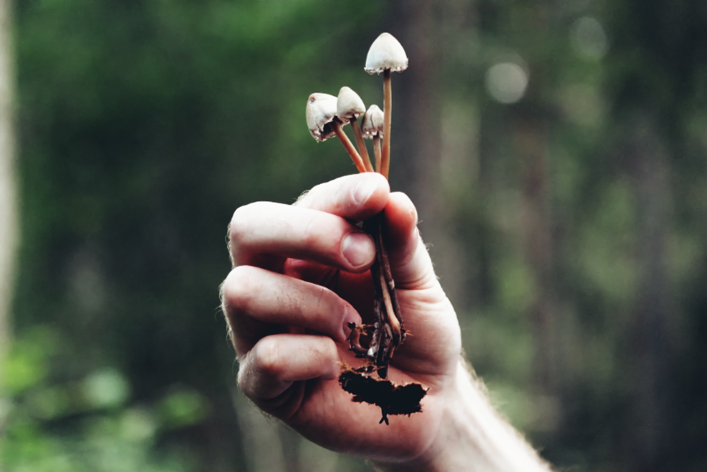 Equity is a part of the Psychedelic Therapy Revolution happening in Oregon