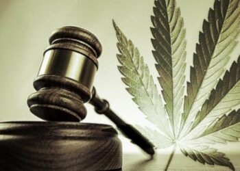 Federal Judges Clash On Gun Ban For Marijuana Users