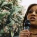 Kamala Harris Officially Pledges to Legalize Marijuana if in Office