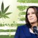 Former NBA Player Smoked Cannabis Before Interviewing Kamala Harris