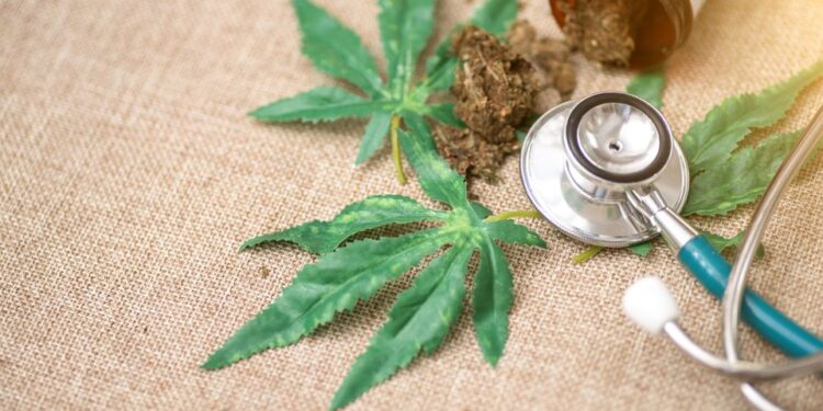 New Study Shows Promise For Marijuana As a Possible ‘Anticancer Agent’