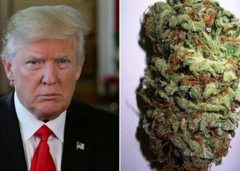 What Trump’s Second Term Means For The Marijuana Industry