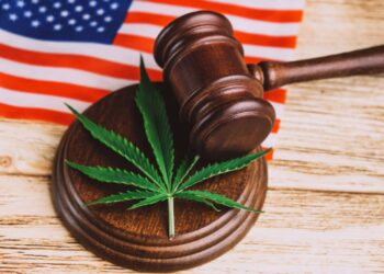 So how’d the election turn out for Marijuana?