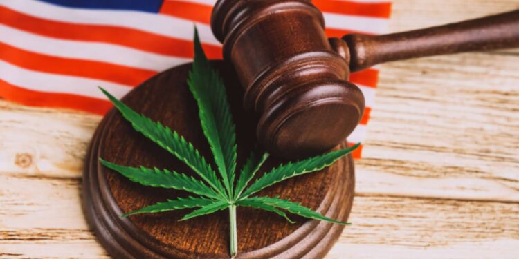 So how’d the election turn out for Marijuana?