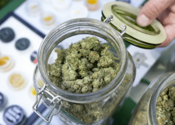 Michigan Passes $10 Billion In Cannabis Sales