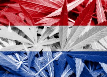 More Americans Freed From Russia after marijuana arrests