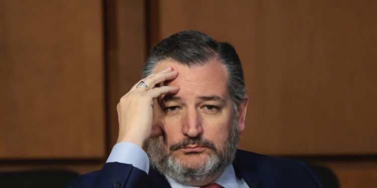 Ted Cruz jokes about smoking weed with Elon despite opposition to legalization