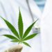 ‘Overwhelming Scientific Consensus’ on Marijuana benefit for Cancer Symptoms
