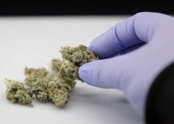 California Cracks Down On Cannabis Lab Violations