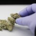 California Cracks Down On Cannabis Lab Violations