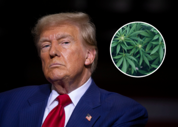 Trump Blames Cannabis Decriminalization for Possible ‘Disorder’ In DC
