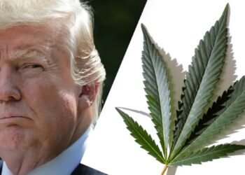 New Cannabis Ad Strategically Trying to Get Trump to Act
