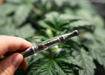 Be Careful What You Smoke, New Research Shows The Problem With Disposable Vapes