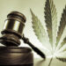 Supreme Court Gives Trump Lawyers More Time To Consider Appeal For Marijuana & Firearms Ruling