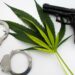 DOJ Reasserts Firearm Ban For Marijuana Users