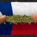 Texas Governor Abbott Weighs Hemp Ban As Deadline Nears