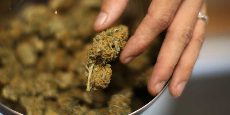 New Studies Showing Increased Risk Of Heart Issues & Psychosis Due To Cannabis Consumption