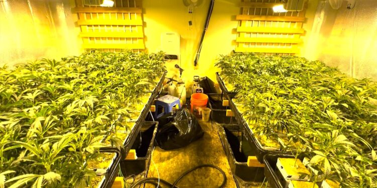 FBI Busts Chinese Nationalist Drug Ring, Found Exploiting US Immigration Laws