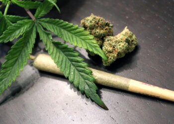 New Study Shows Cannabis Use Associated With ‘Significant Risk Of Cardiovascular Disease’