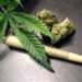 New Study Shows Cannabis Use Associated With ‘Significant Risk Of Cardiovascular Disease’