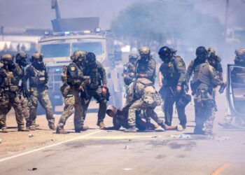 Big Raids at Cannabis Farms