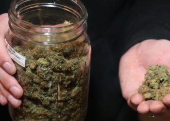 Marijuana Rescheduling Still In Limbo, Here’s the Latest