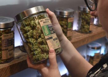 Oregon’s Decriminalization Did Not Raise Overdose Deaths Or Crime, New Study Shows