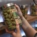 Oregon’s Decriminalization Did Not Raise Overdose Deaths Or Crime, New Study Shows