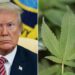 Cannabis PAC Donates $1 Million To Trump Super PAC Amid Reform Push