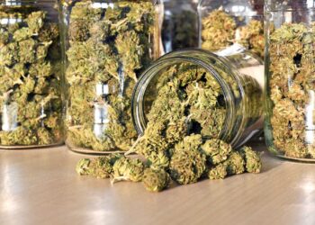 Michigan Recalls Thousands Of Cannabis Products Over Potential Health Risks