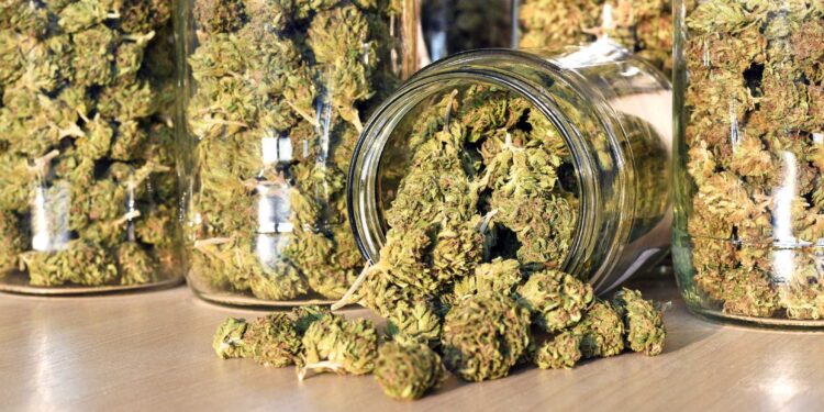 Michigan Recalls Thousands Of Cannabis Products Over Potential Health Risks