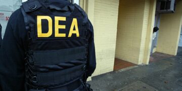 A Look into the Illicit Market Crackdown